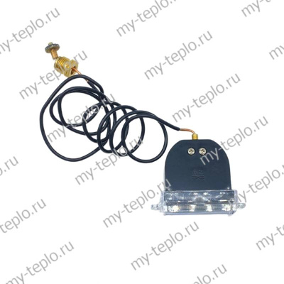 Манометр для котла Arderia D10 (manomArderiaD10)