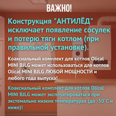 Дымоход для котла Olical MINI BJLG любой мощности, комплект антилед (Китай) (DYMminibjlg)